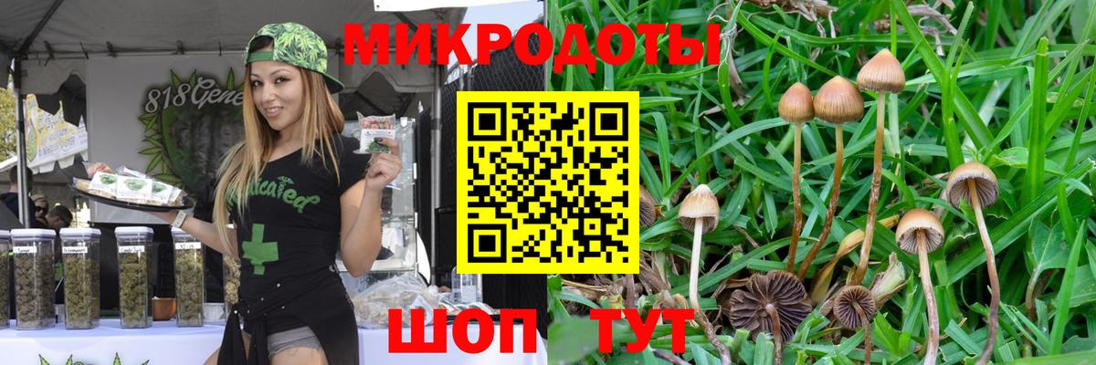 где можно купить наркотик  Галлюциногенные грибы MAGIC MUSHROOMS  Вход с VPN  Камень-на-Оби 