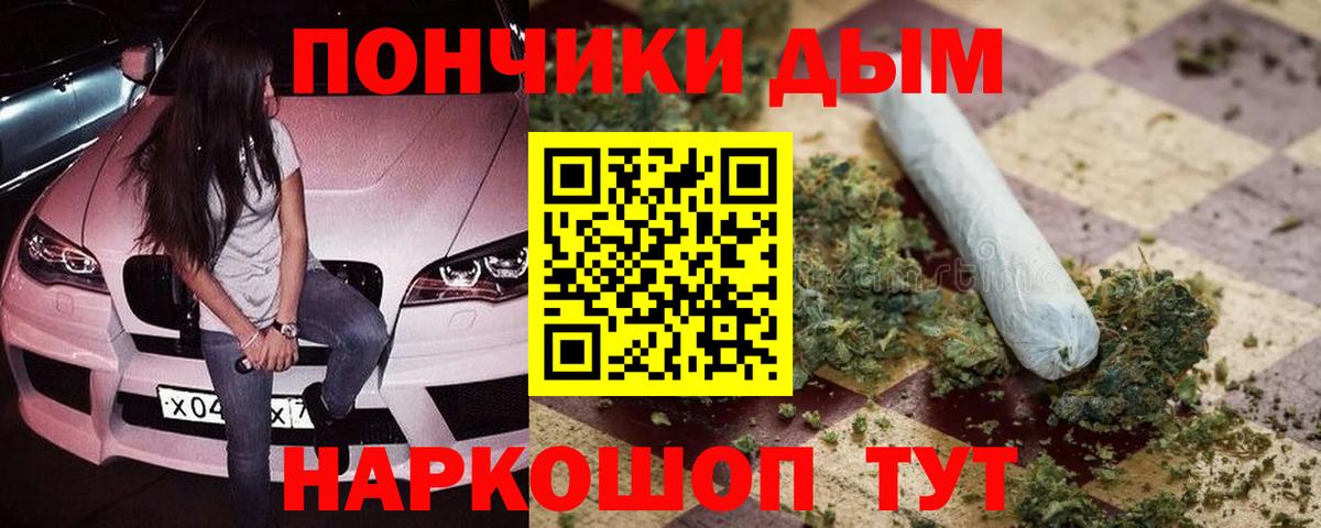 Каннабис план  Вход с VPN  МАРИХУАНА планчик  Камень-на-Оби 